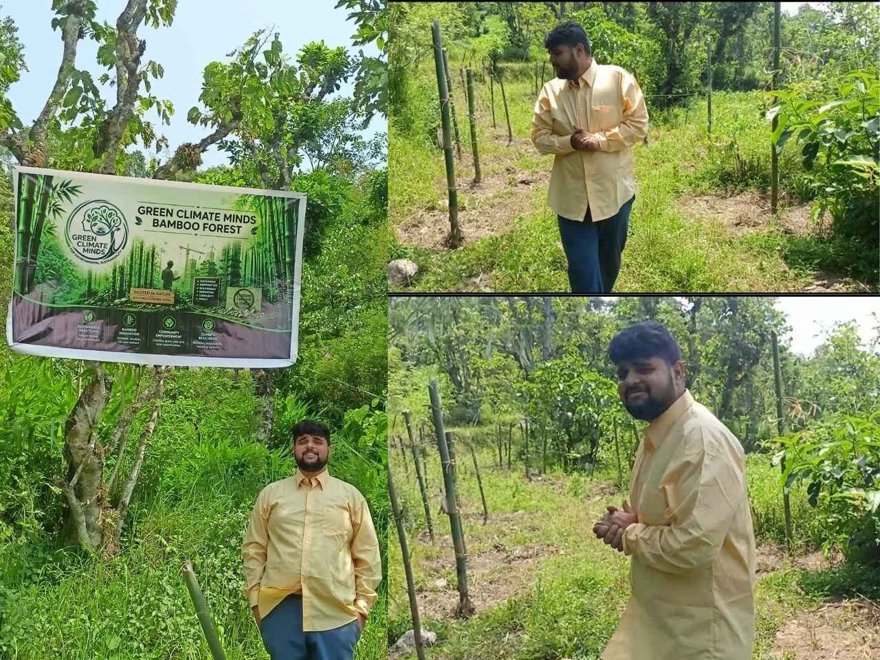 Green Climate Minds Bamboo Forest